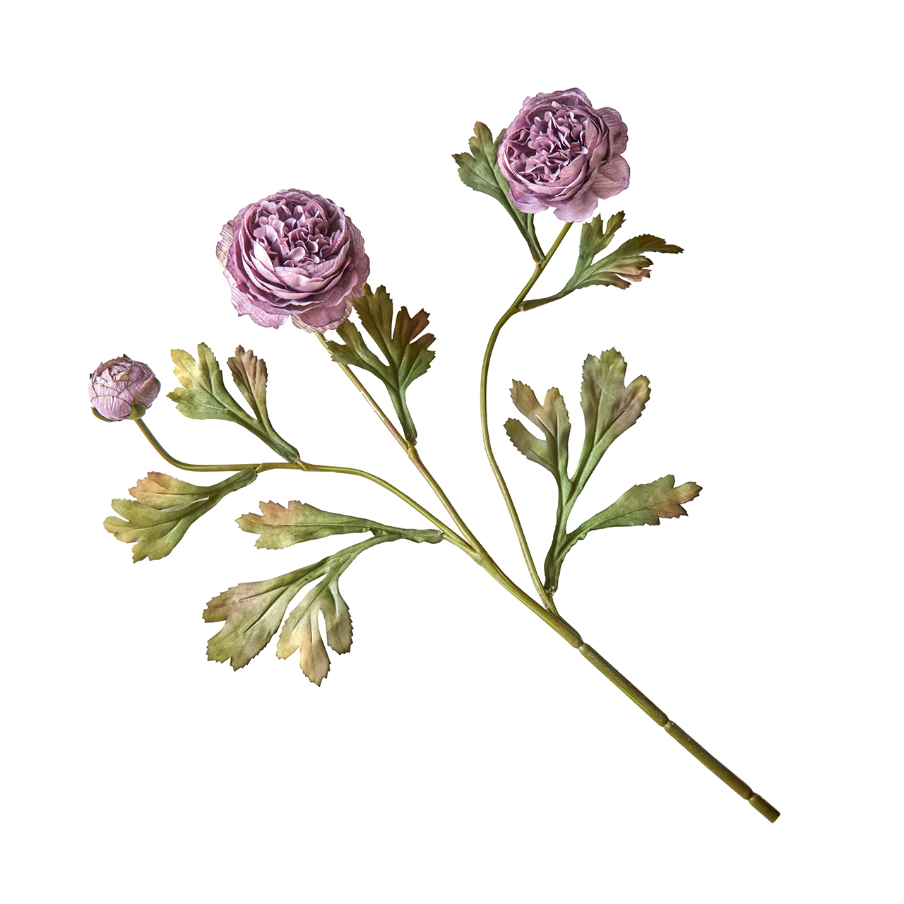 Lilac Ranunculus Spray