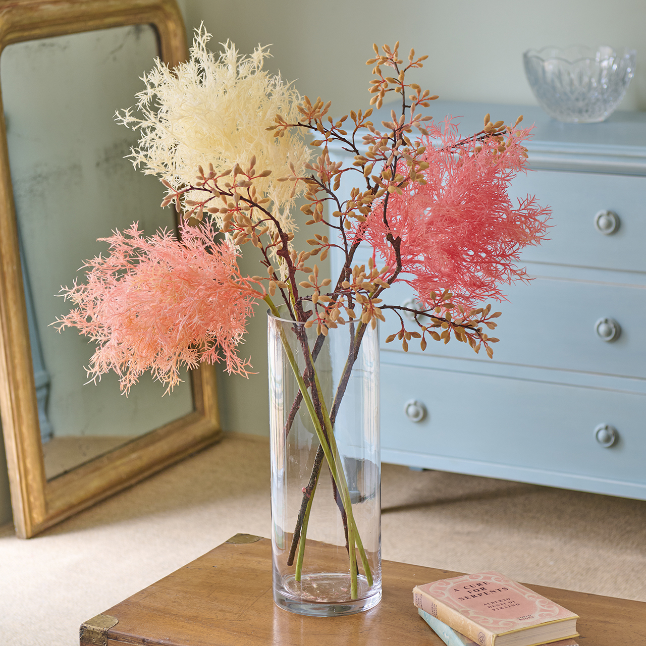 Feathery Smokebush Collection