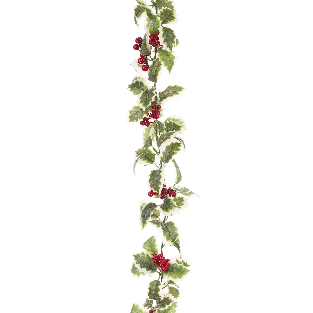 Variegated Holly Garland