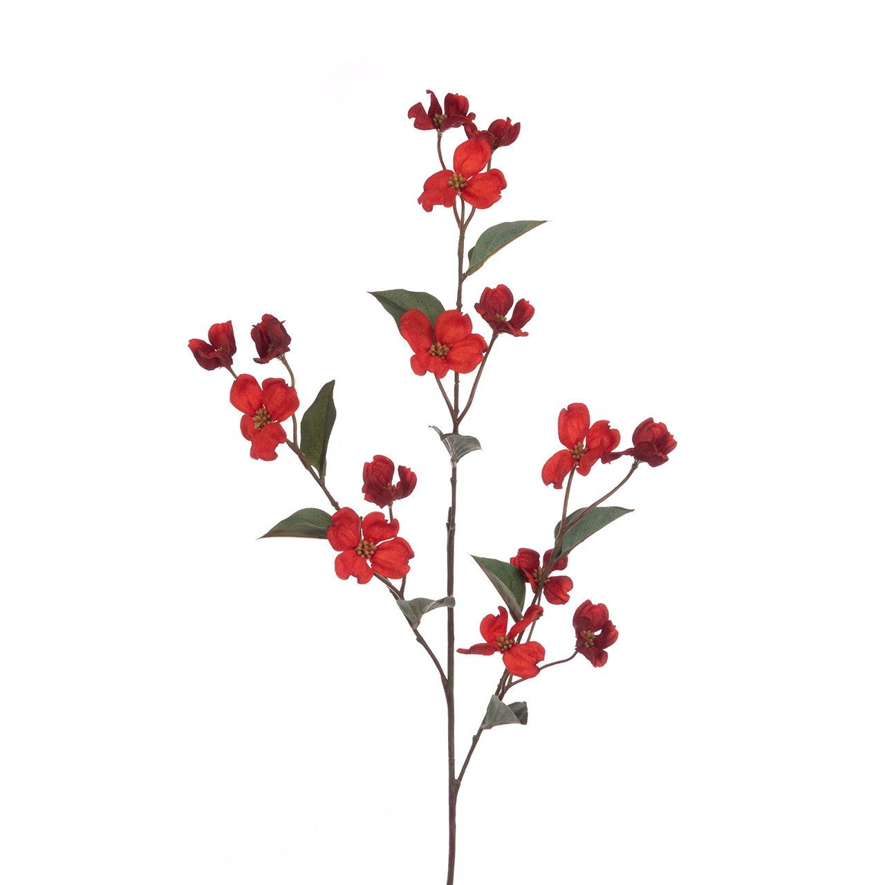 Orange Dogwood Spray