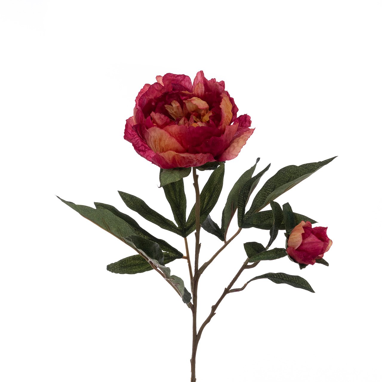 Peony Spray