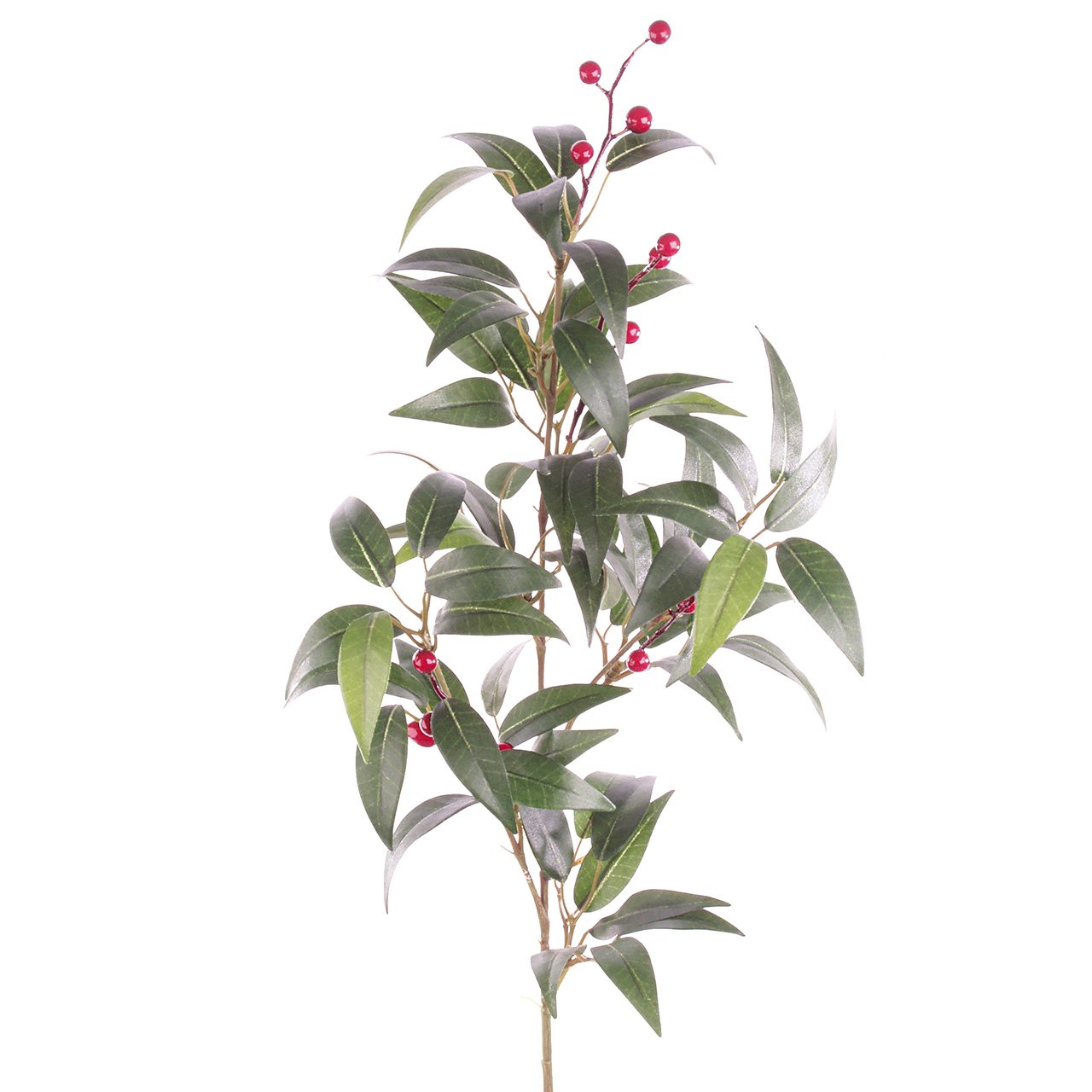 Smilax Spray with Berries