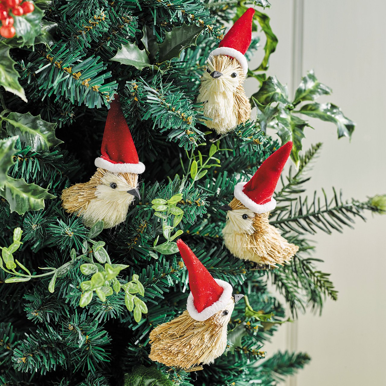 Birds in Santa Hats