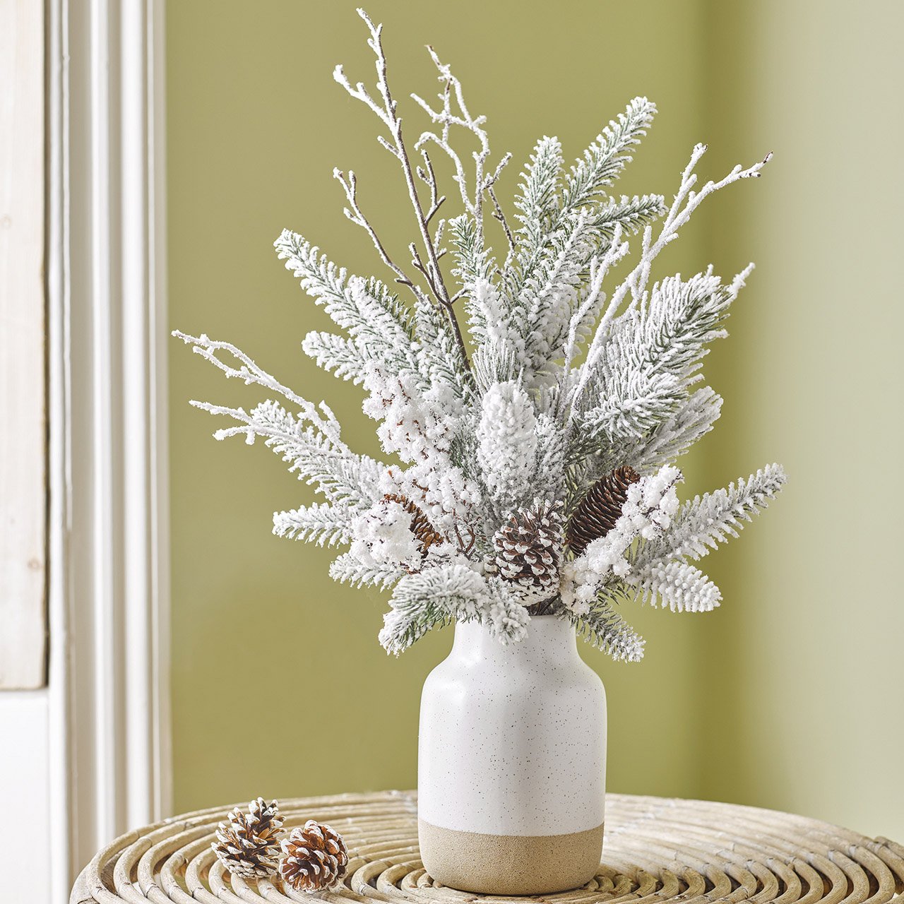 Snowy Pine Potted Arrangement