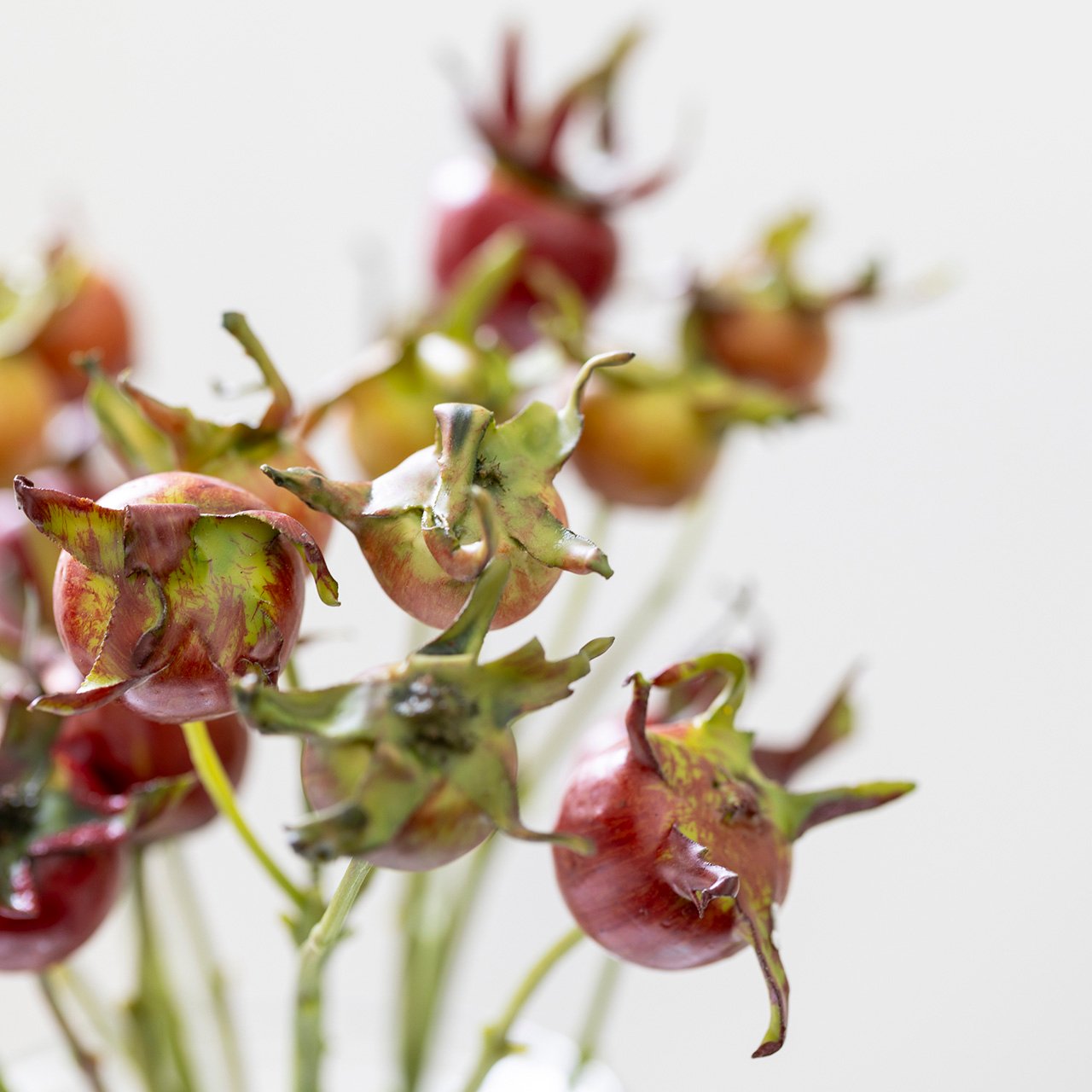 Rose Hip Spray