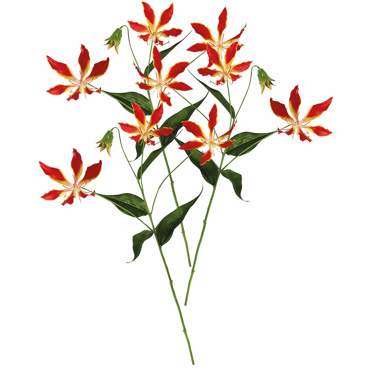 Gloria Lily Stem, Set of 3
