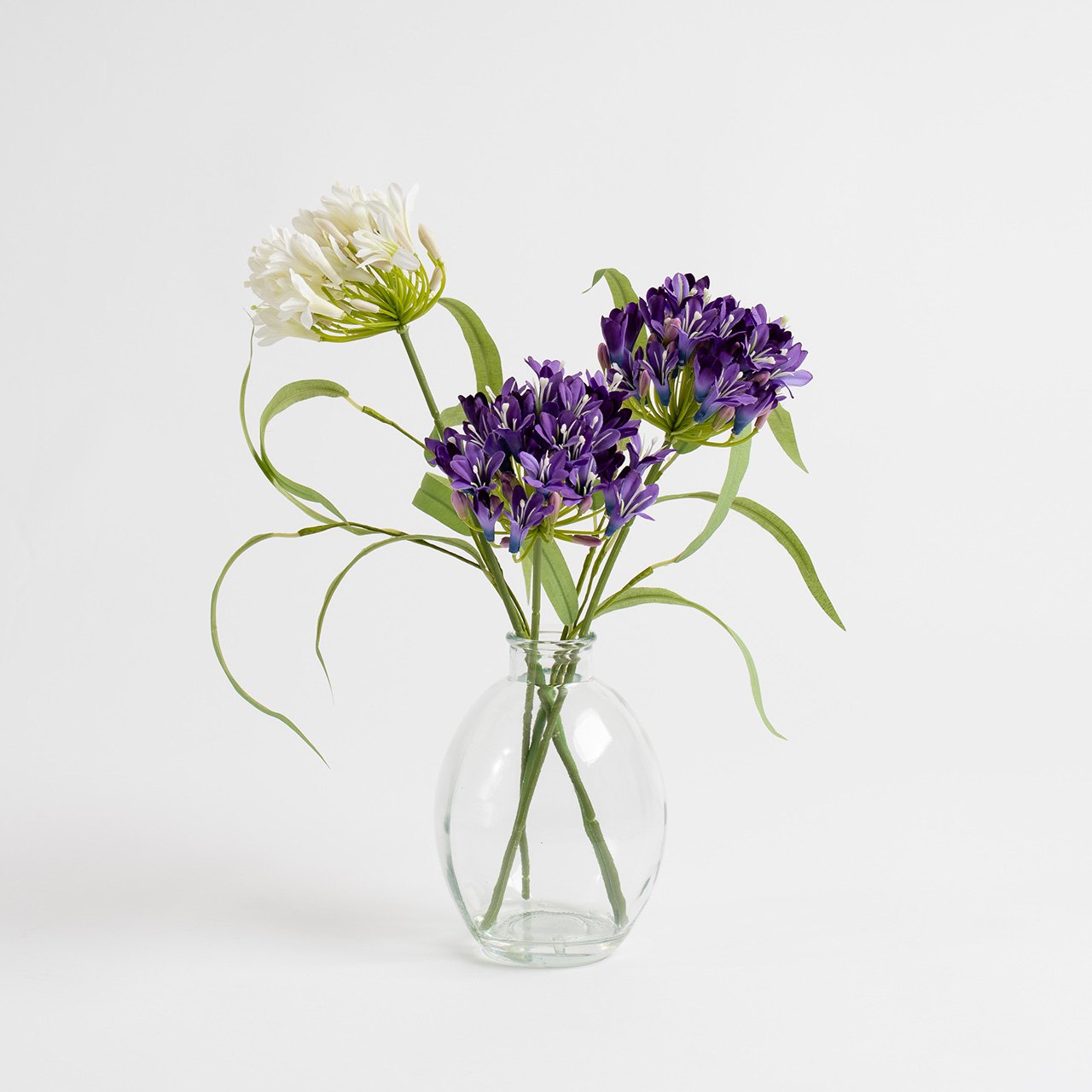 Agapanthus Arrangement