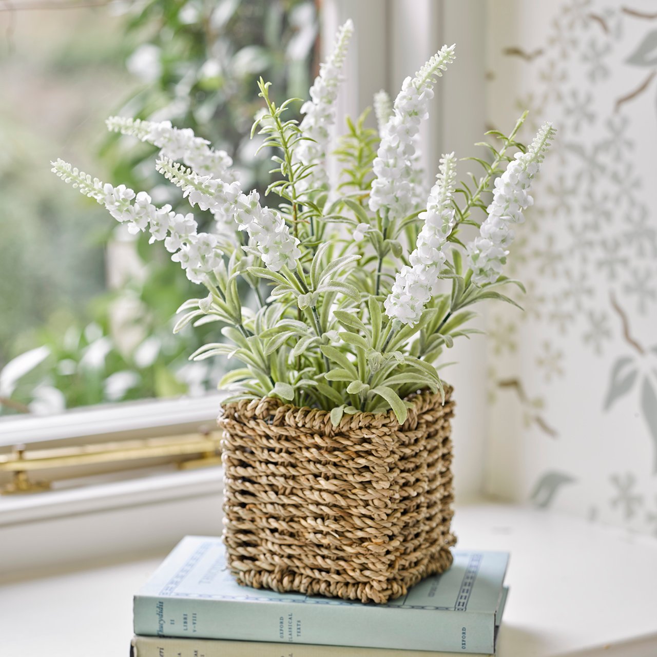 Potted Lavender in Basket