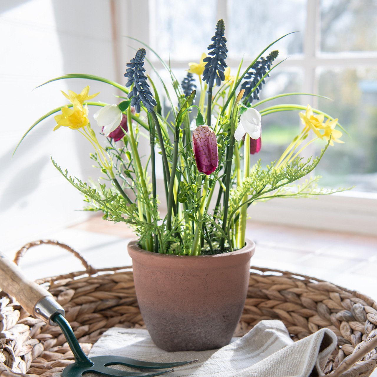 Potted Spring Flowers