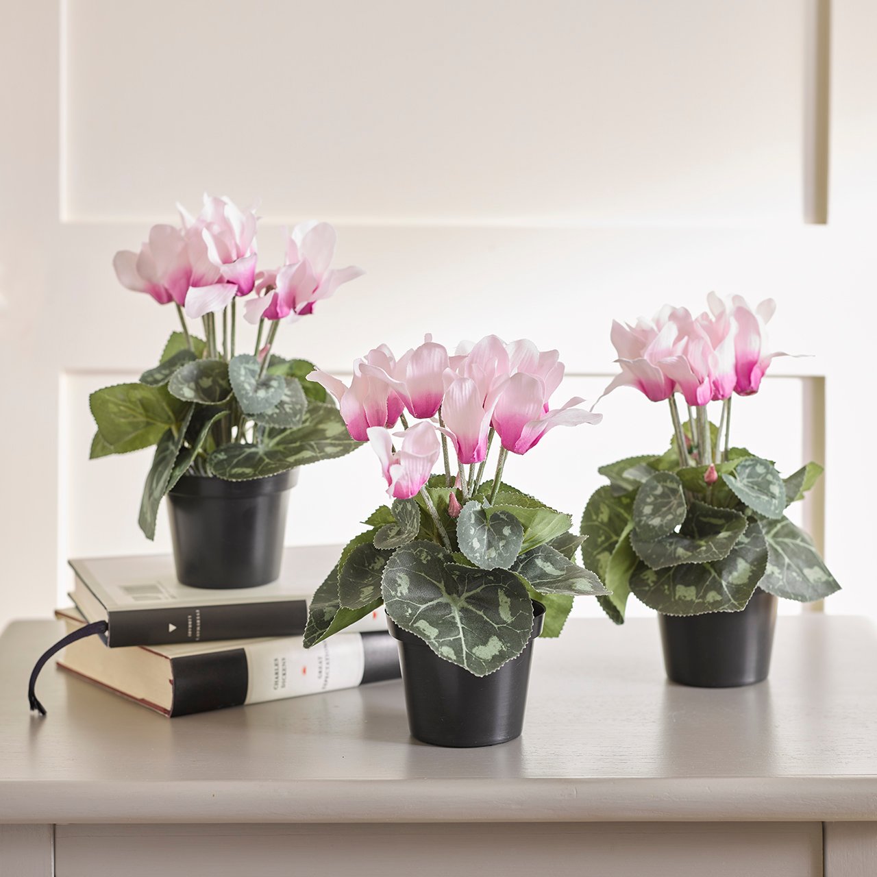 Set of 3 Pink Potted Cyclamen
