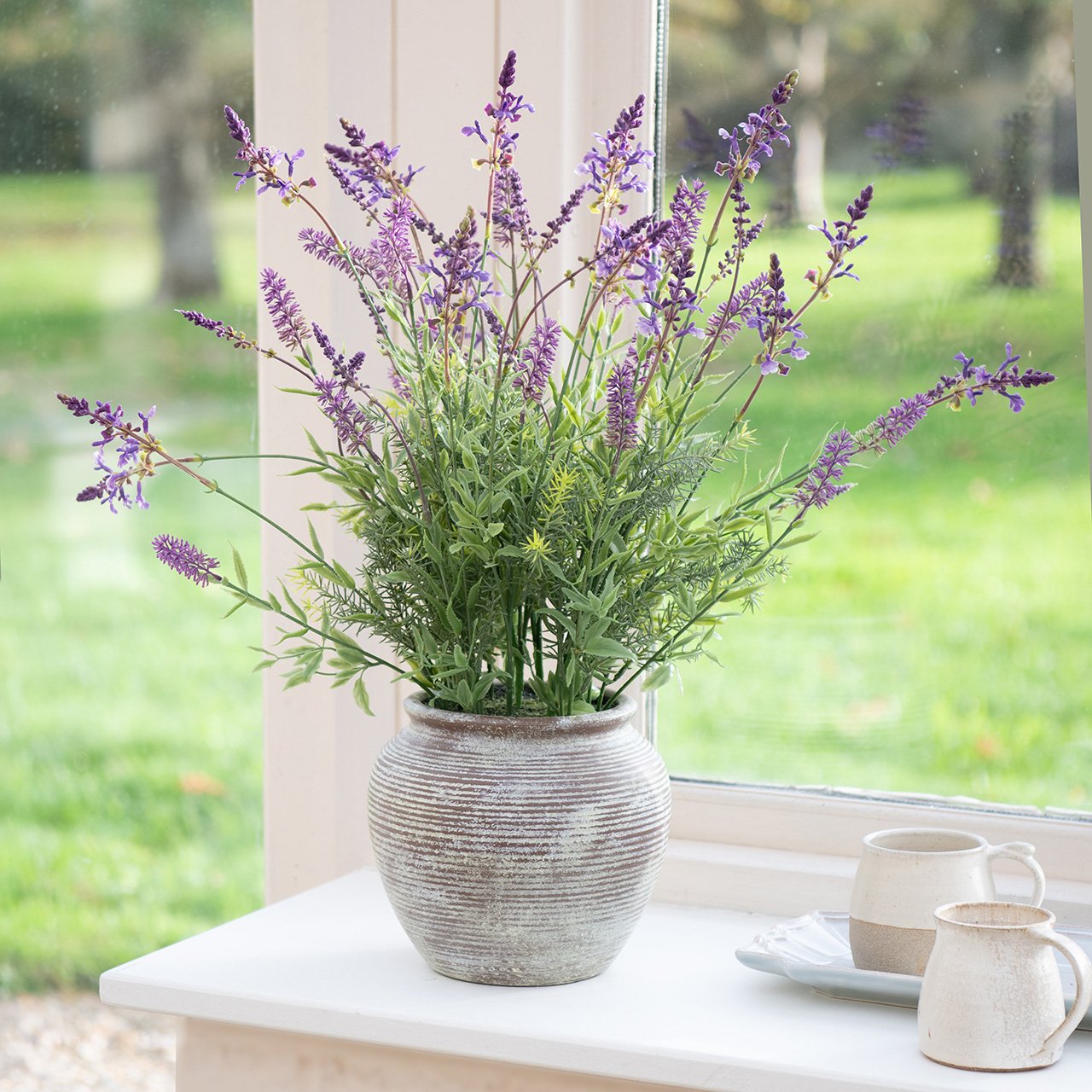 Potted Lavender