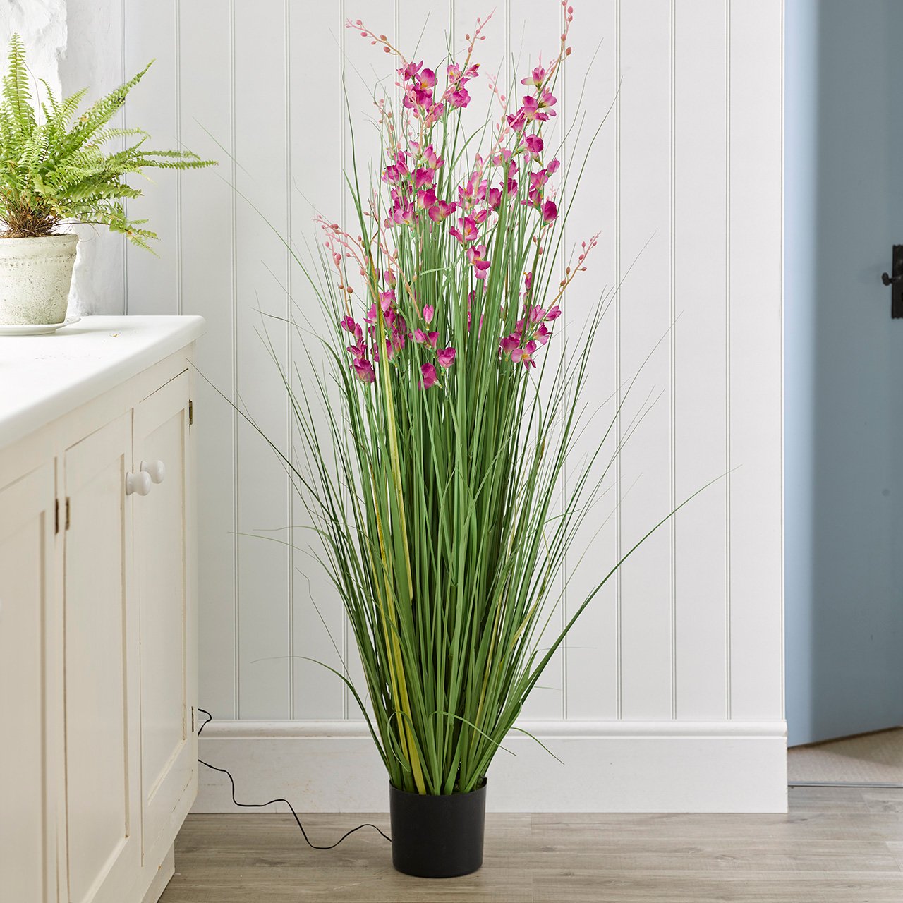 Salvia Splendens with 50 LED lights