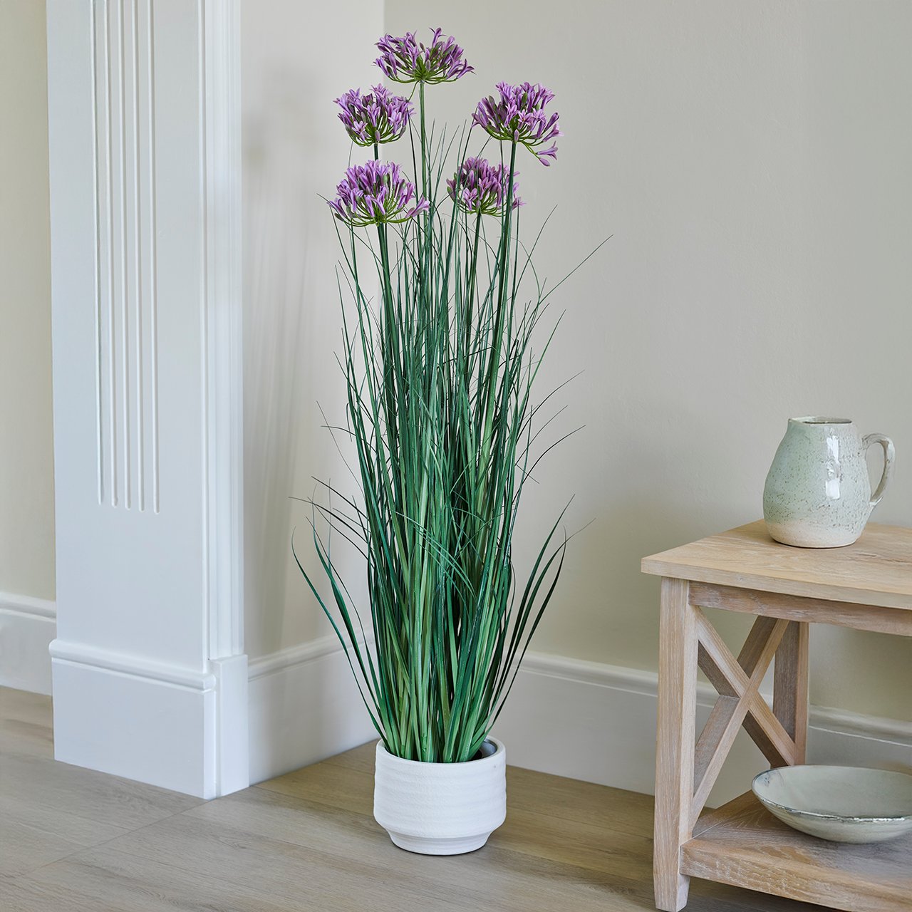 Tall Potted Agapanthus