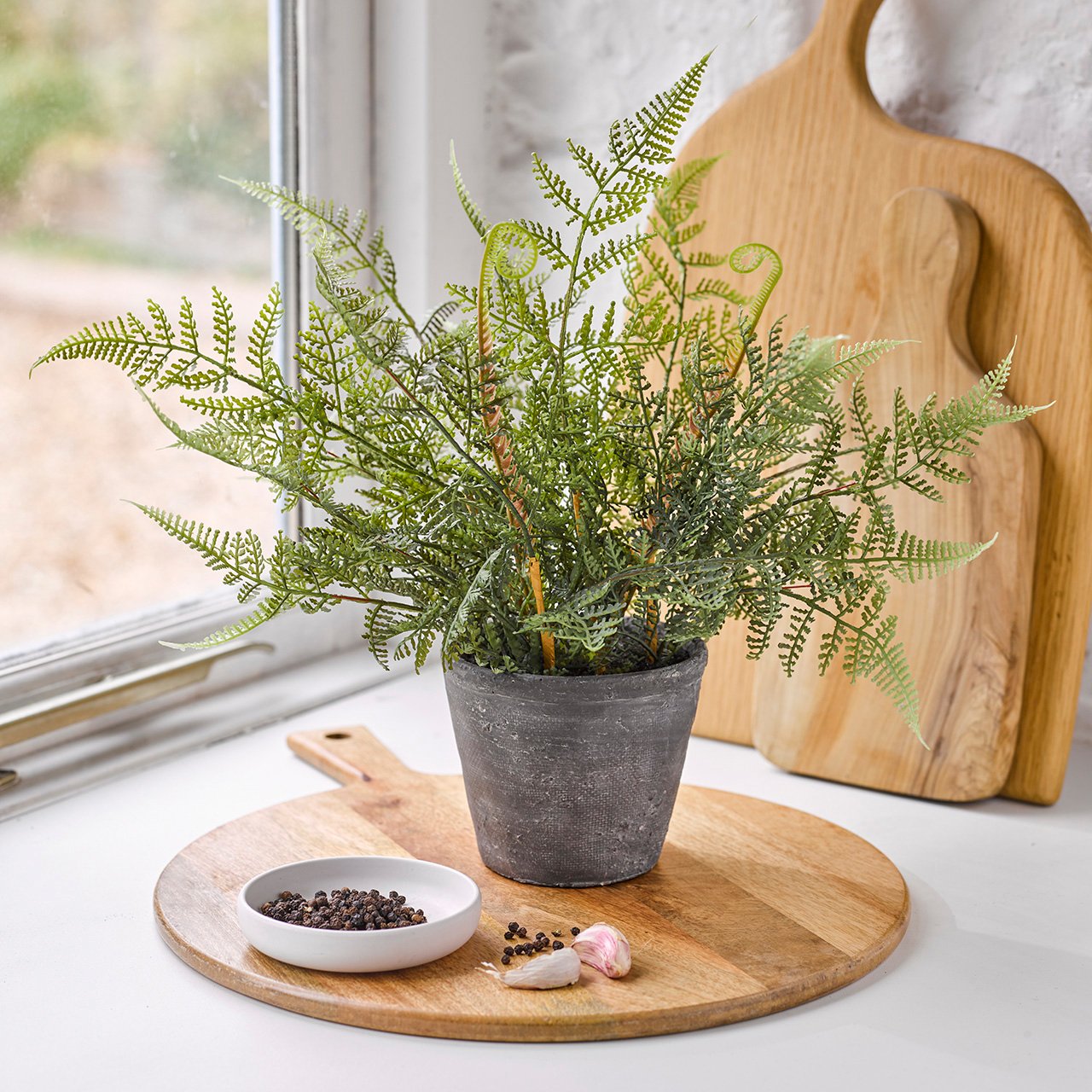 Potted Naturalistic Fern