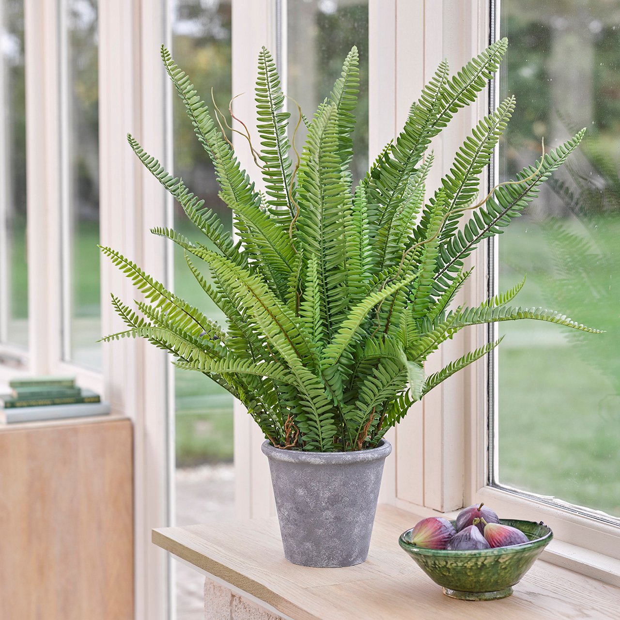 Large Fern in Stone Pot
