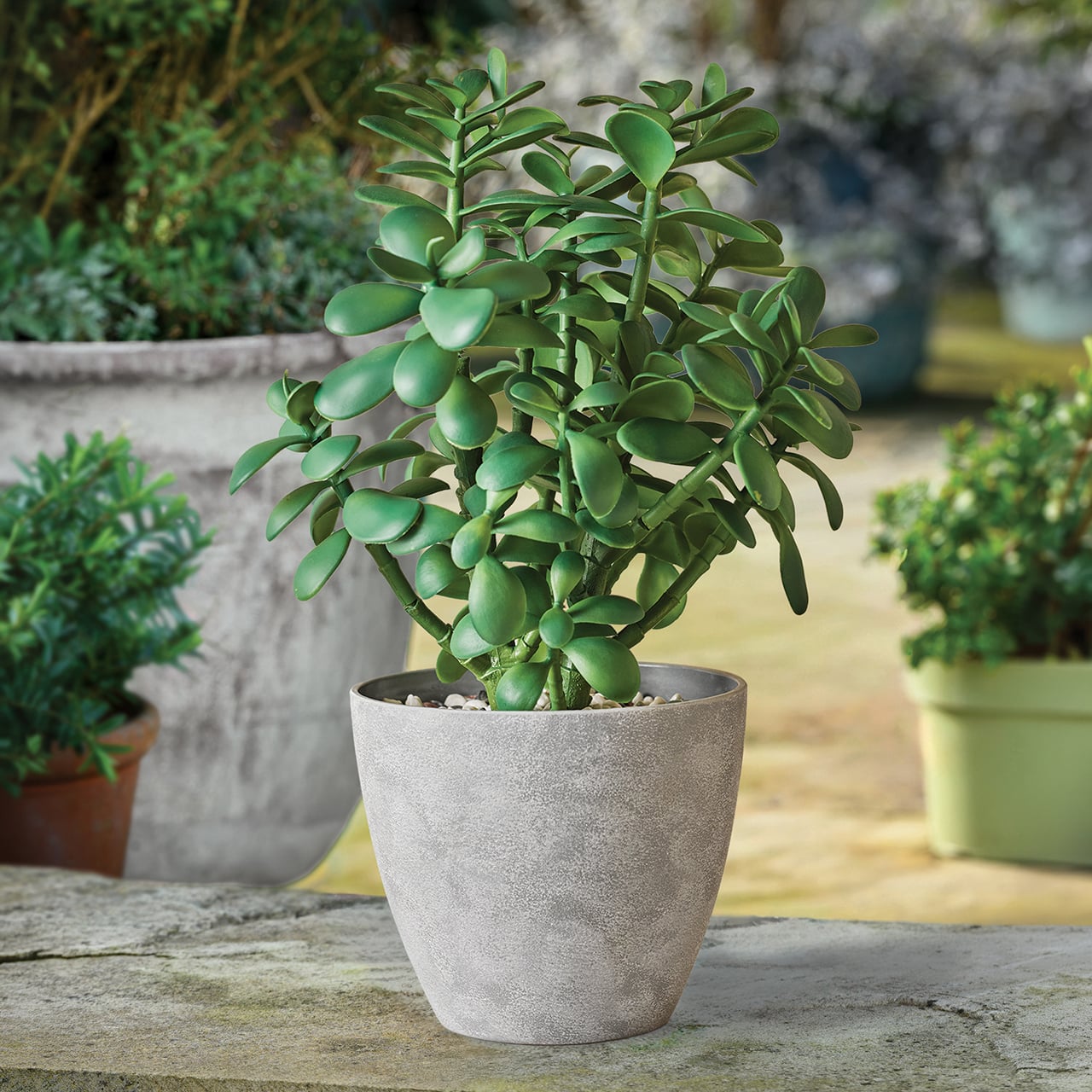 Jade Outdoor Planter