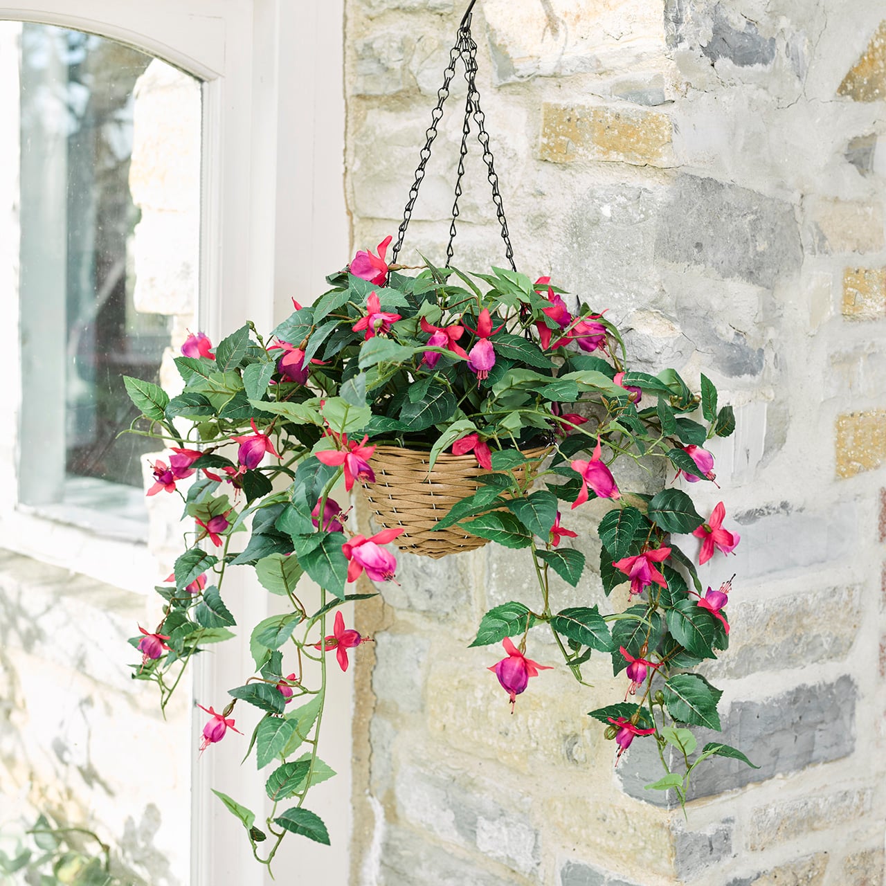 Fuchsia Outdoor Hanging Basket