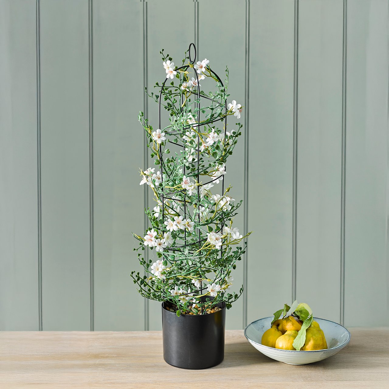 Potted White Jasmine with Obelisk