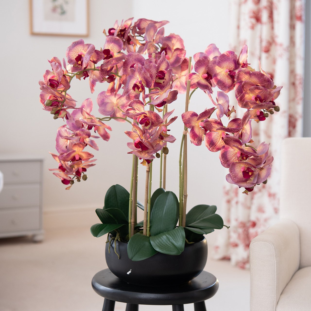 Potted Orchid Centrepiece