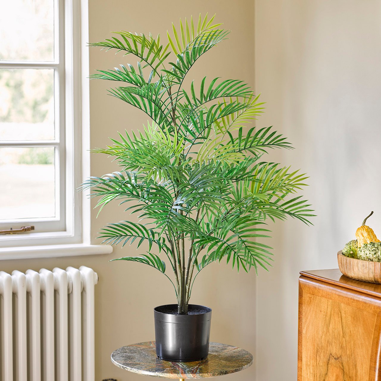 Potted Parlour Palm
