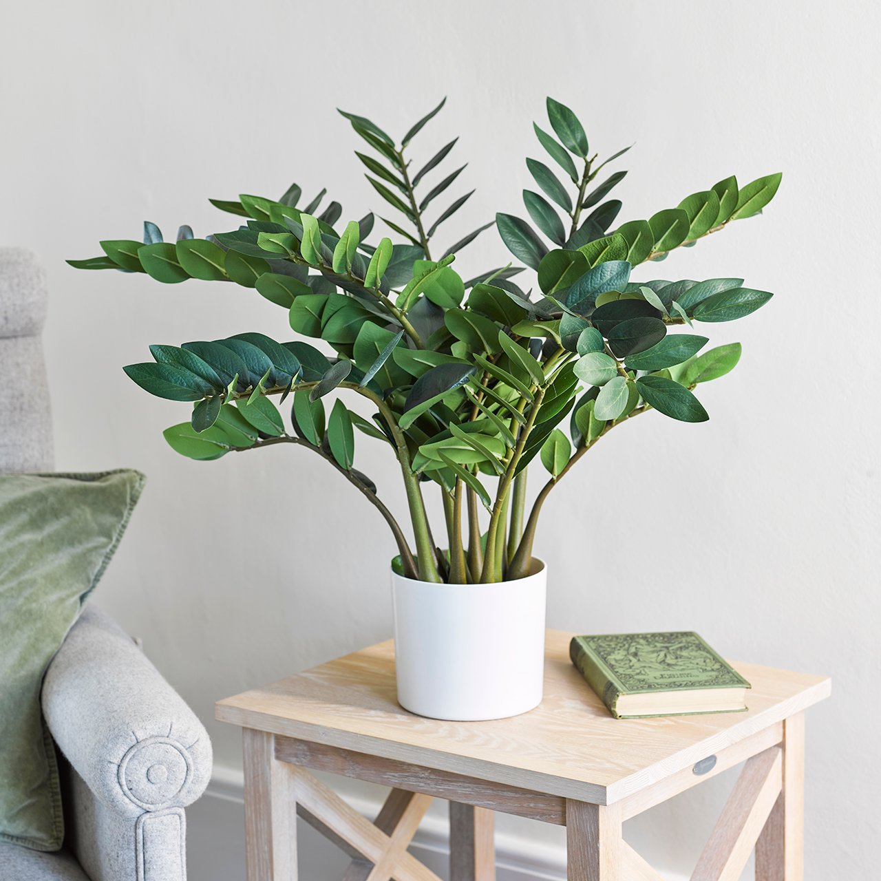 Potted Zamiifolia Tree