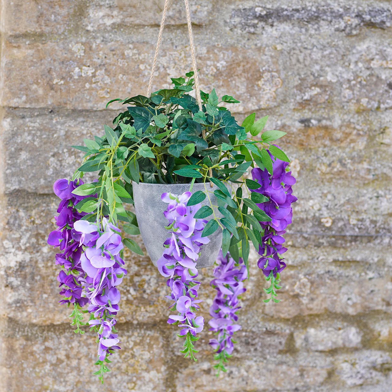 Wisteria Hanging Basket