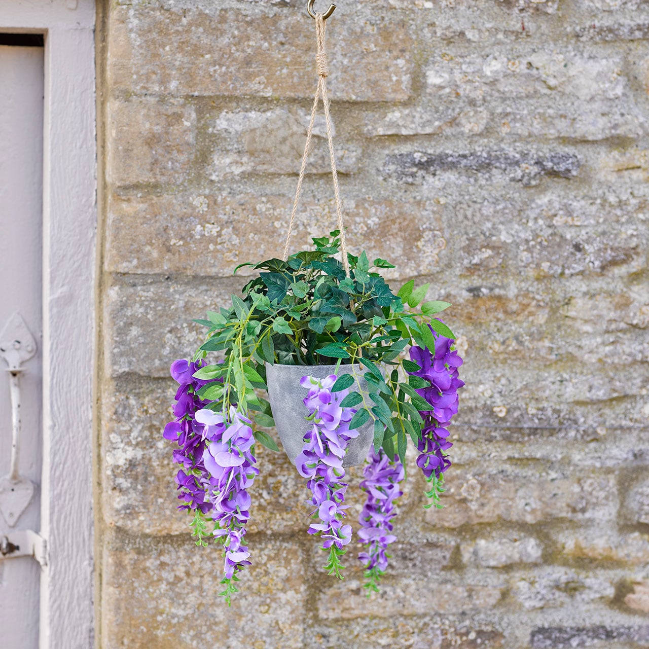 Wisteria Hanging Basket