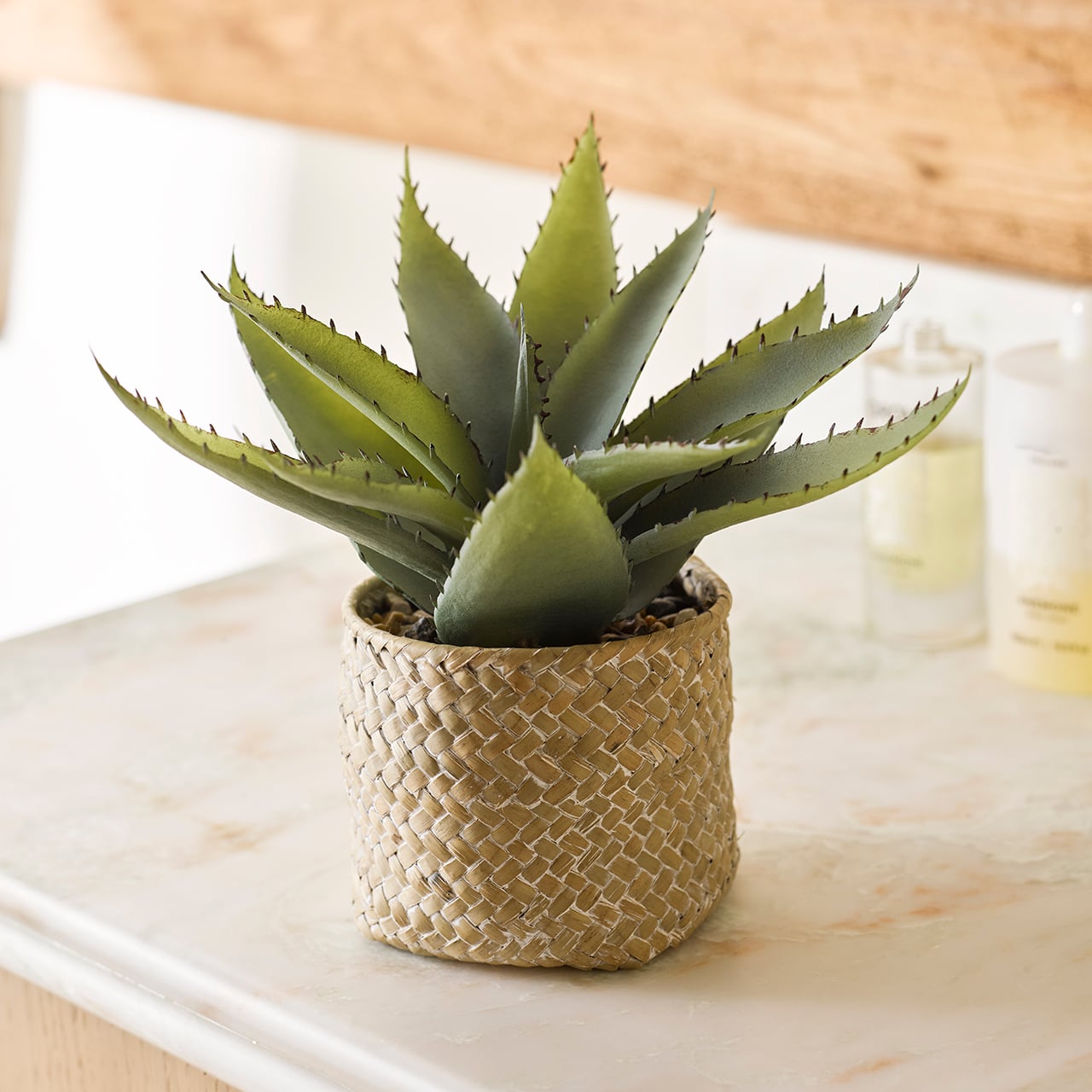 Aloe Vera Basket