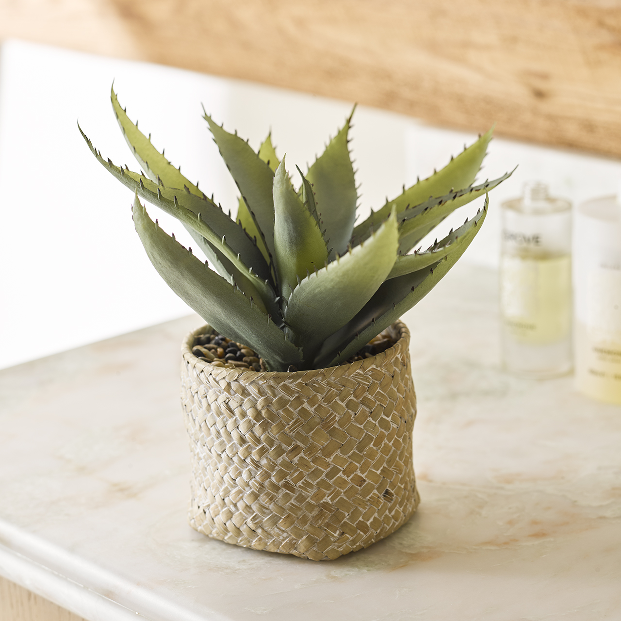Aloe Vera Basket