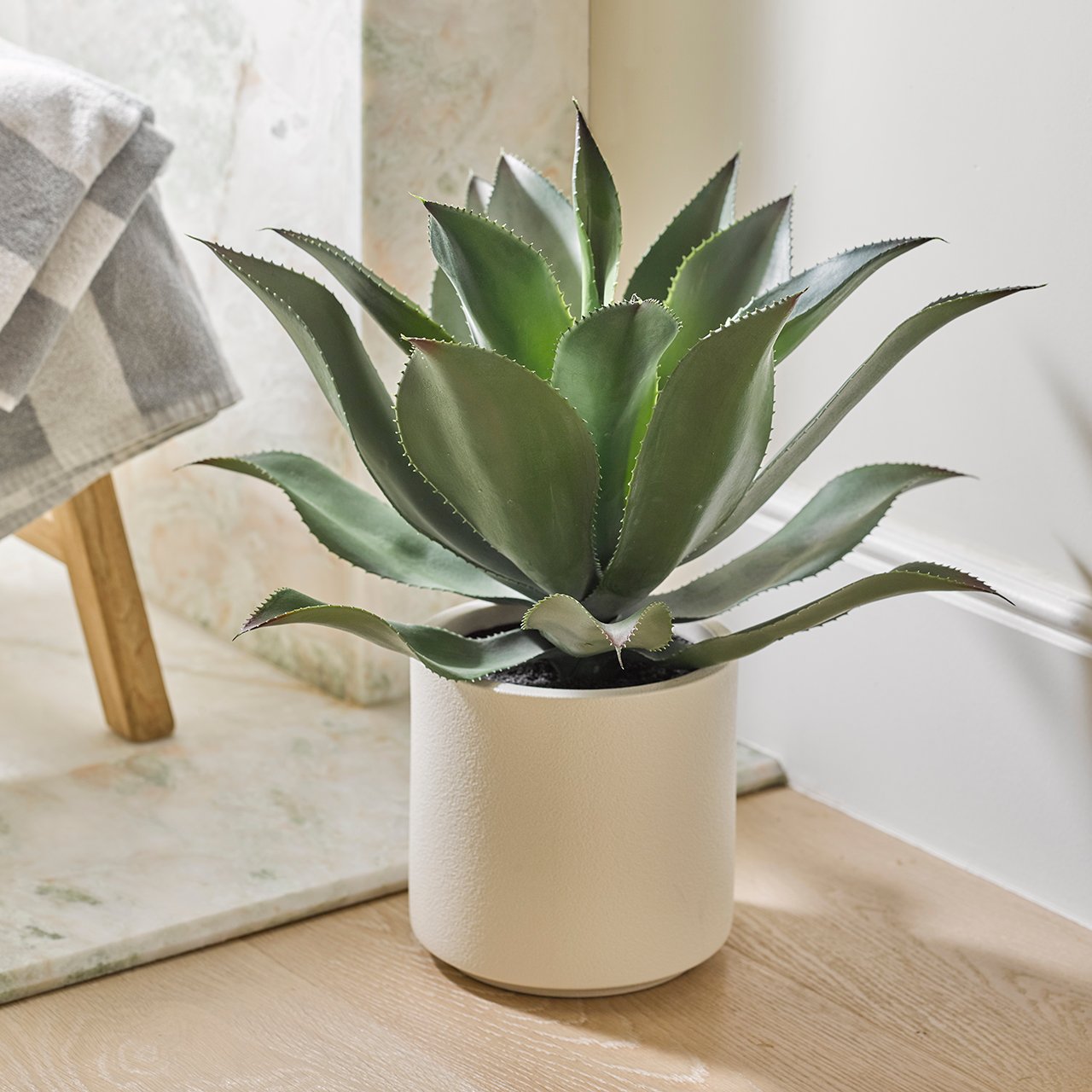 Oversized Potted Agave