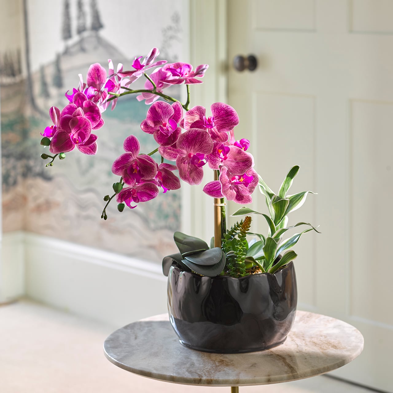 Orchid and Succulent Pot