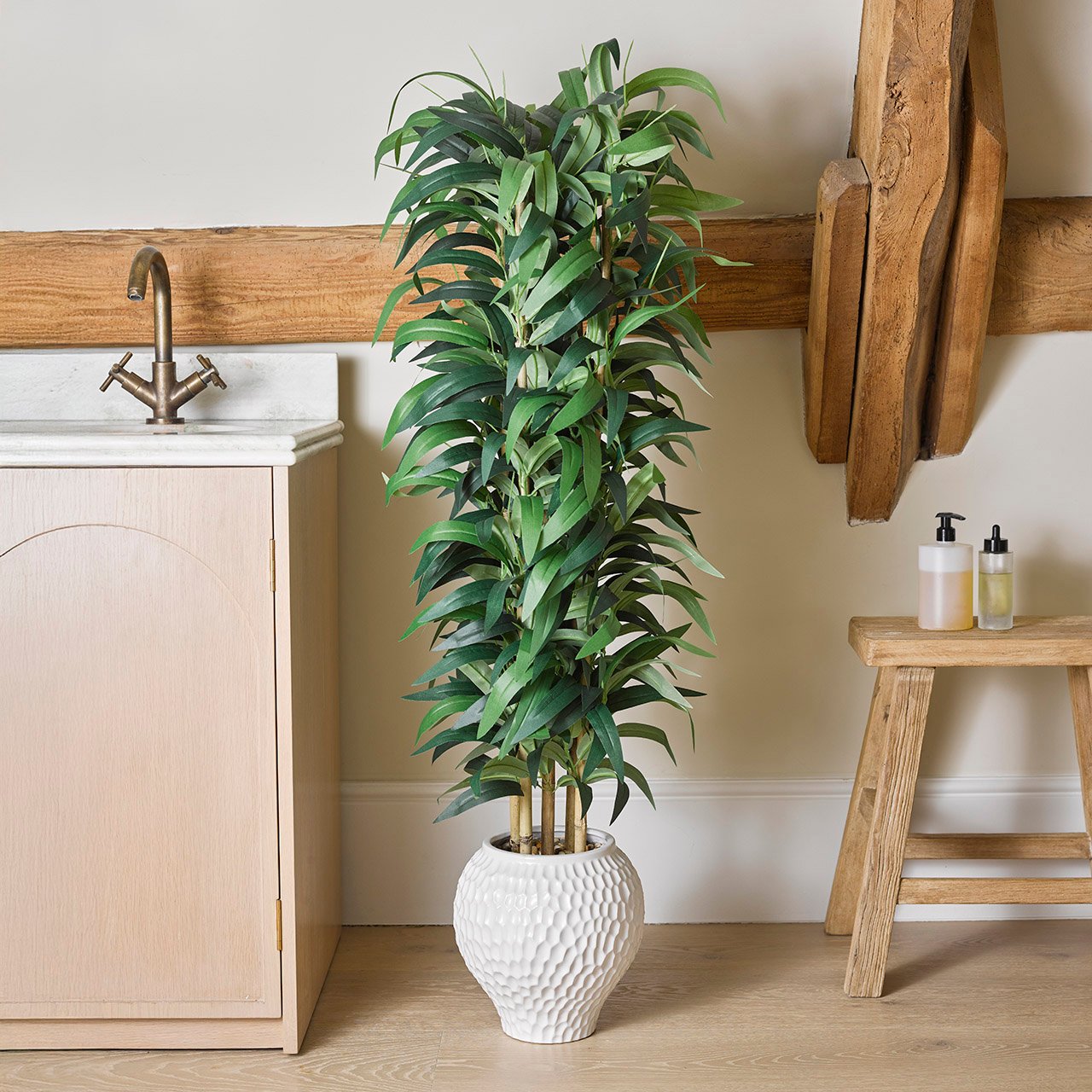 Bamboo Tree in White Pot