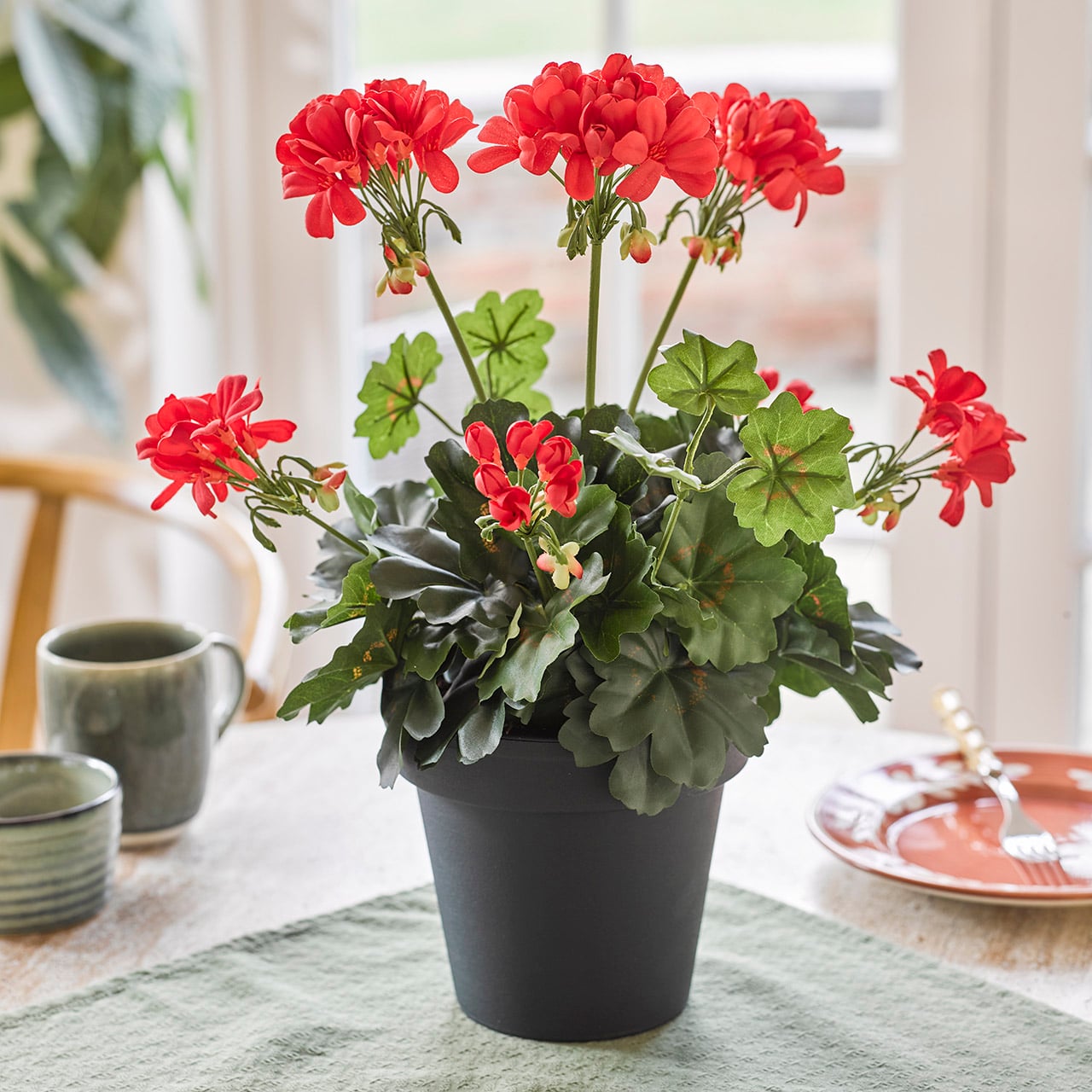 Potted Red Geranium