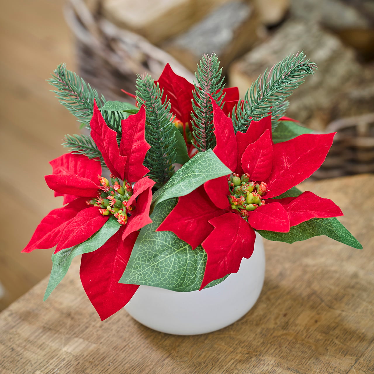 Red Poinsettia and Pine Arrangement