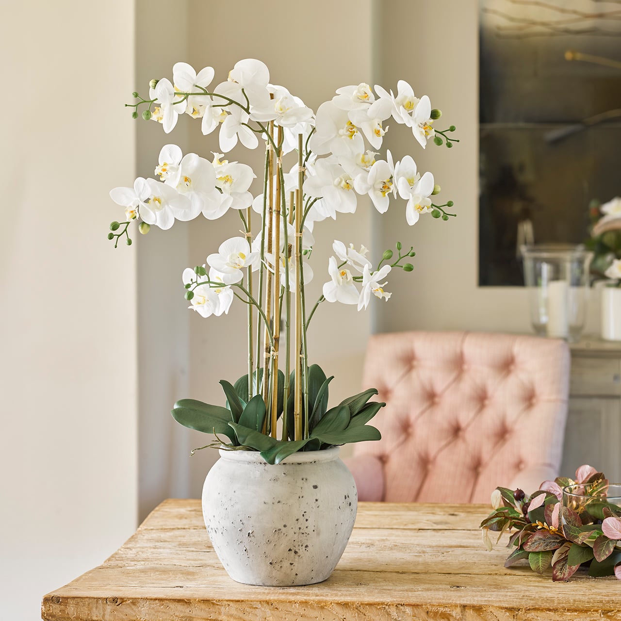 Large Potted Orchid