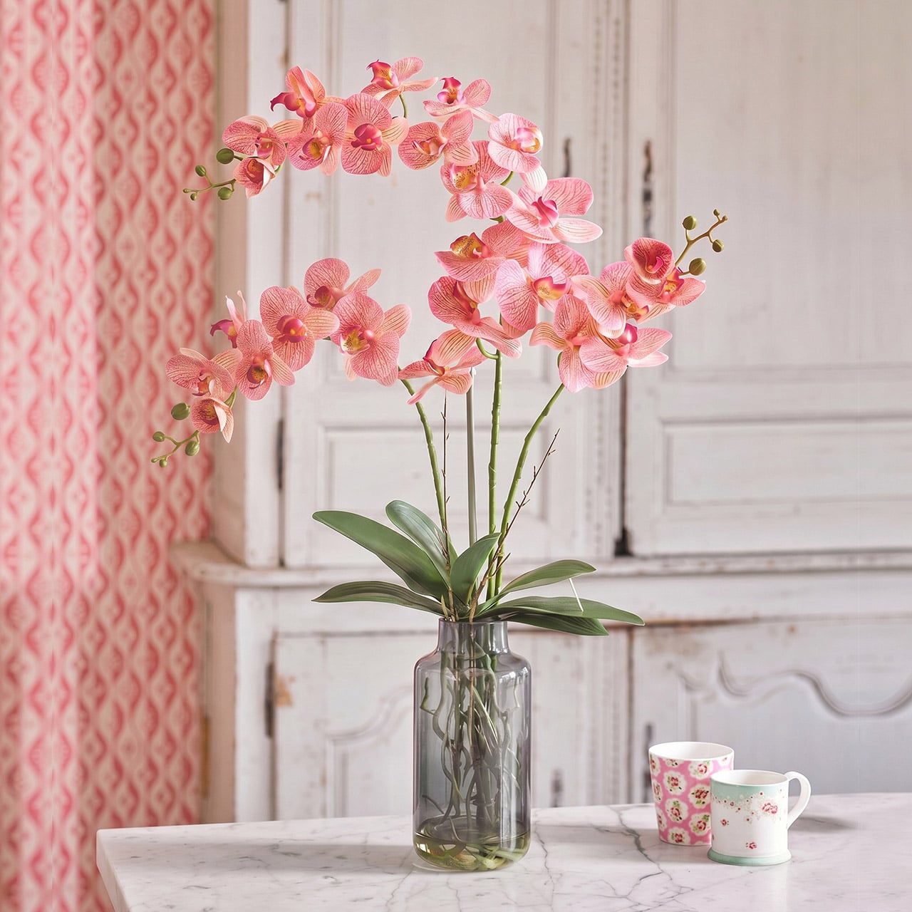 Speckled Pink Phalaenopsis Orchid