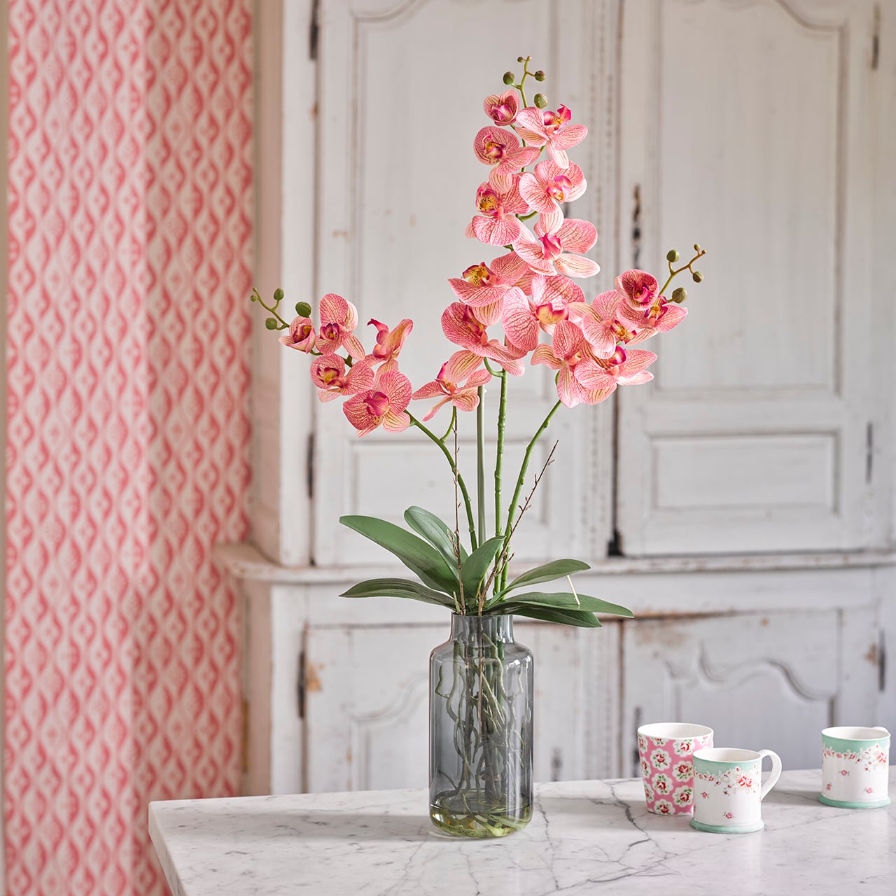 Speckled Pink Phalaenopsis Orchid