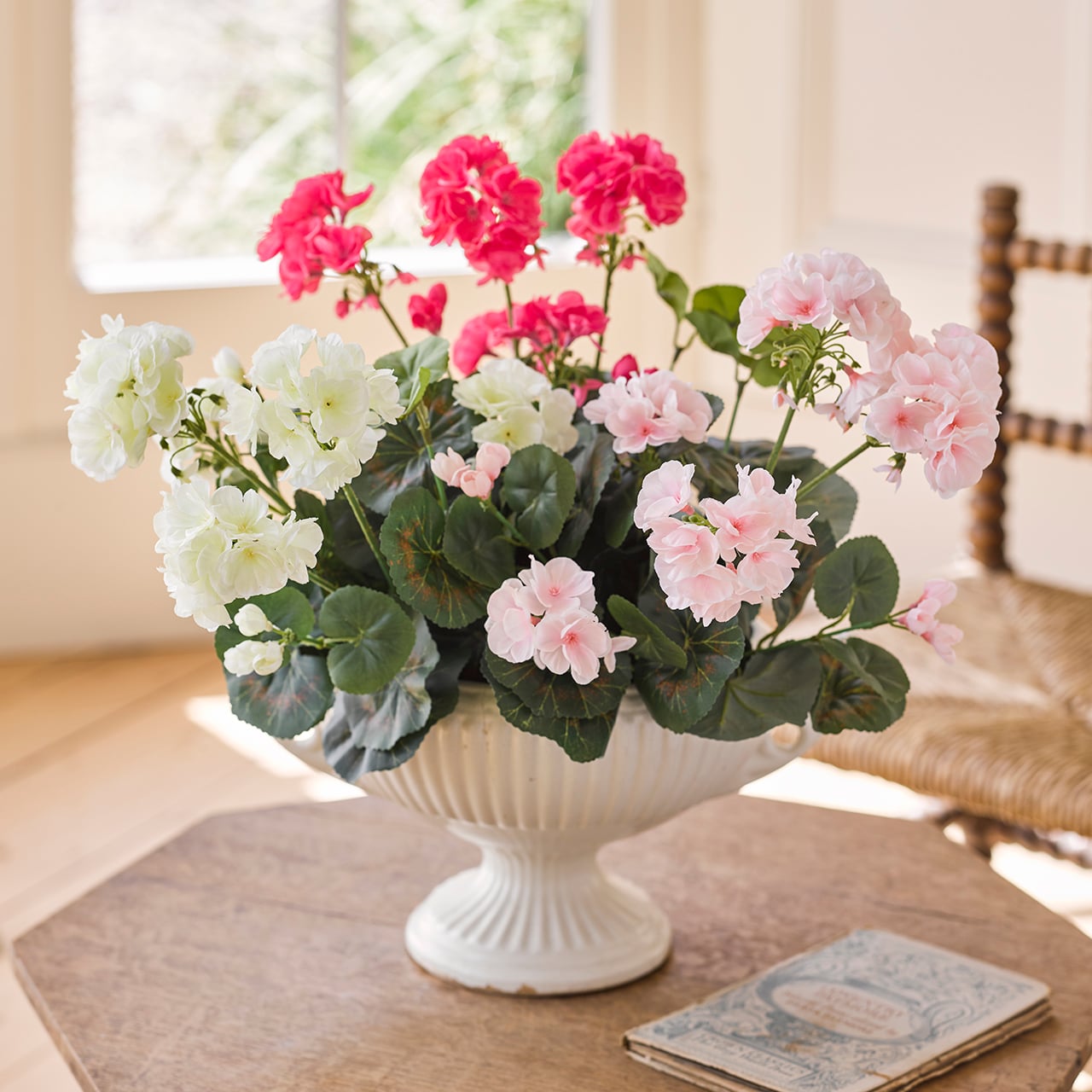Set of 3 Potted Geraniums