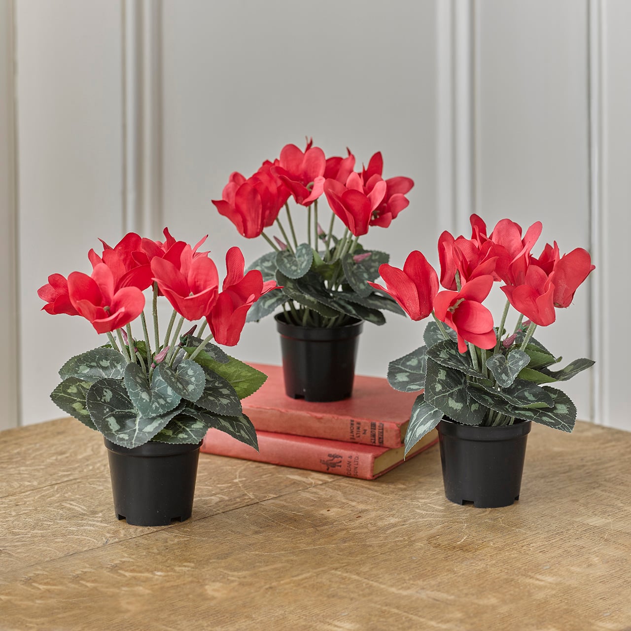 Set of 3 Red Potted Cyclamen
