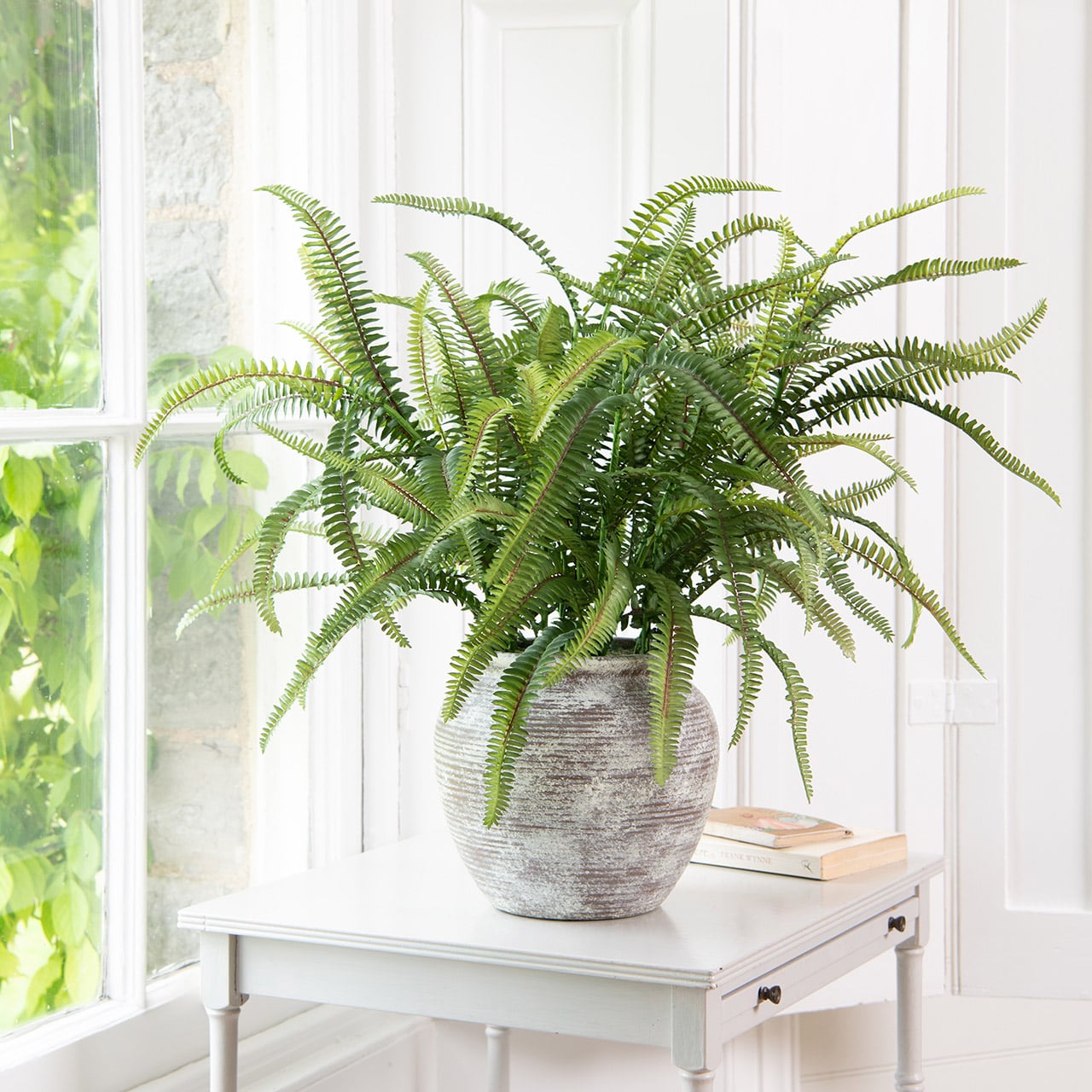 Rustic Potted Boston Fern