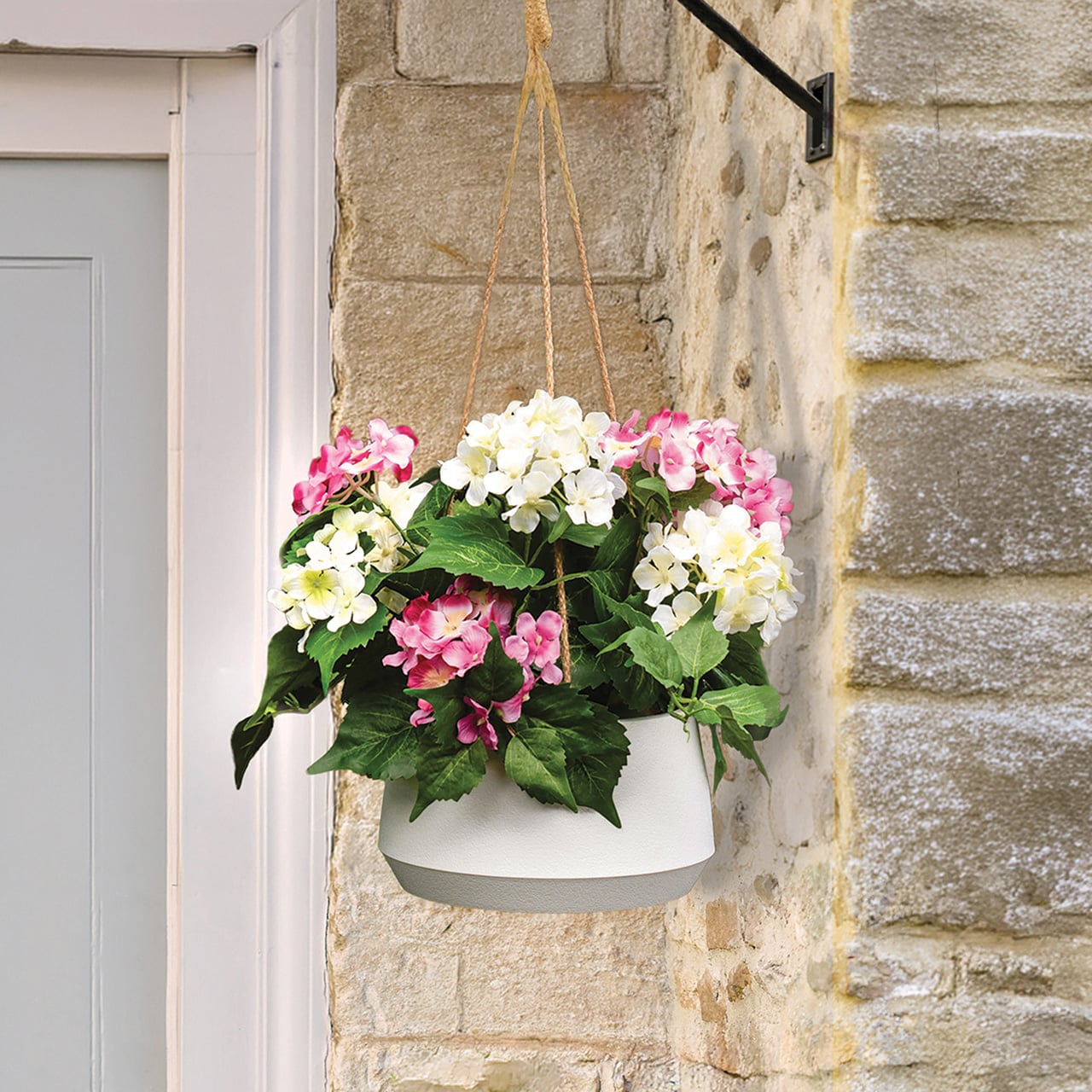 Hydrangea Hanging Basket