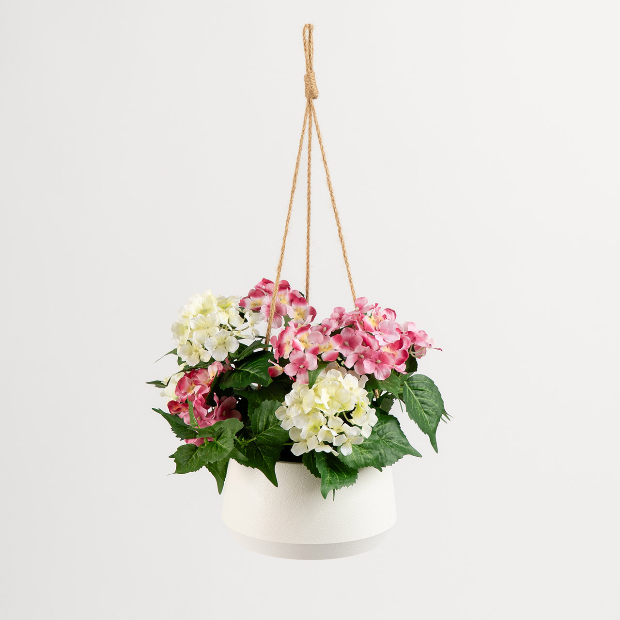 Hydrangea Hanging Basket