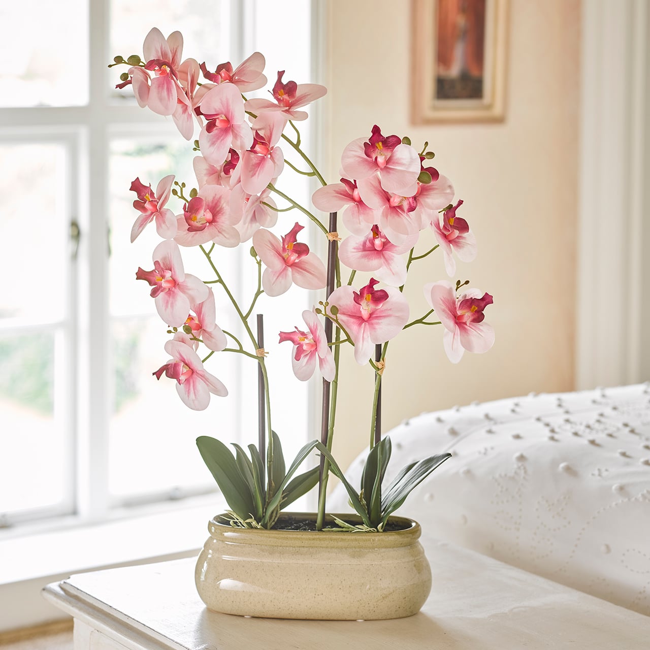 Pink Orchid in Ceramic Pot