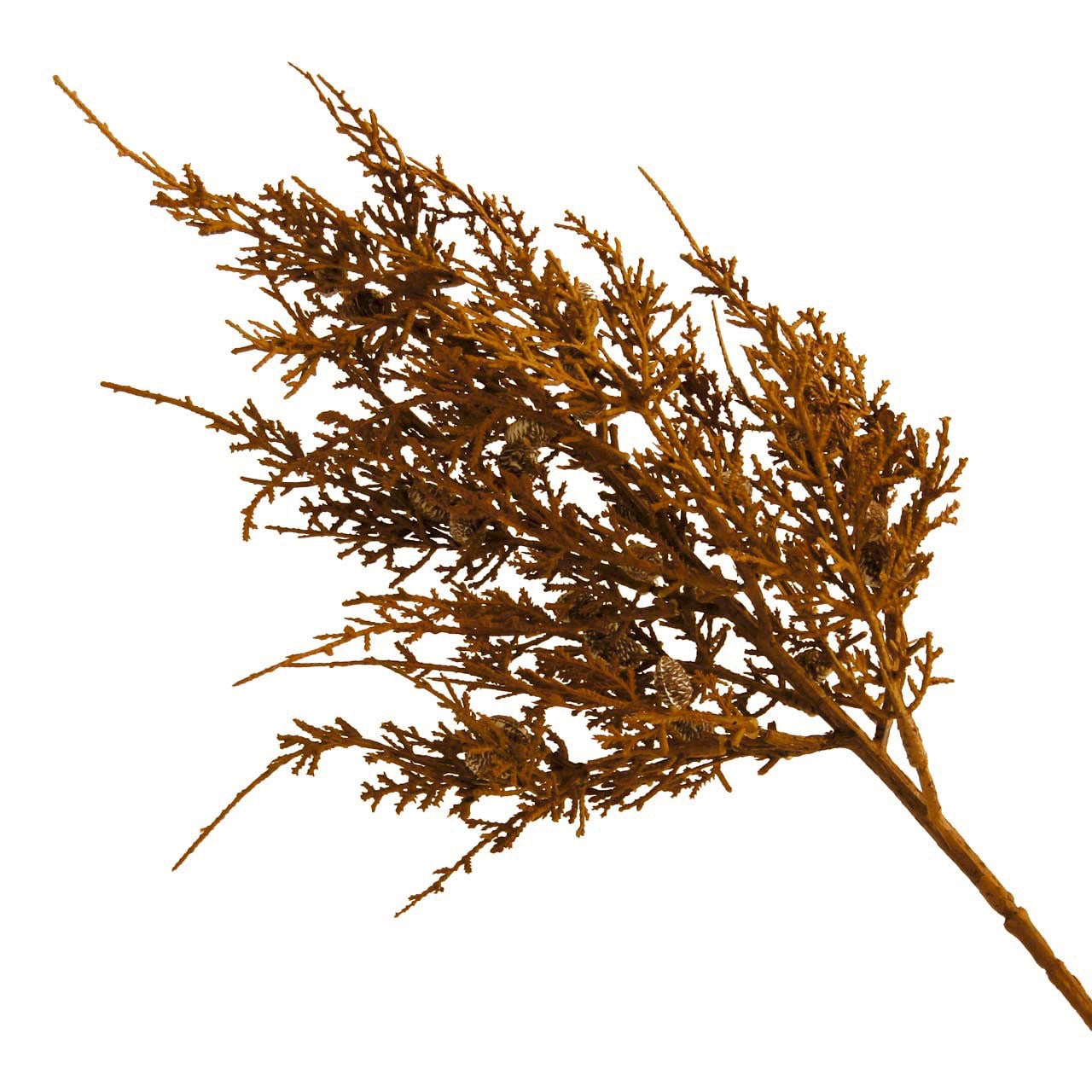 Set of 5 Pinecone Stem
