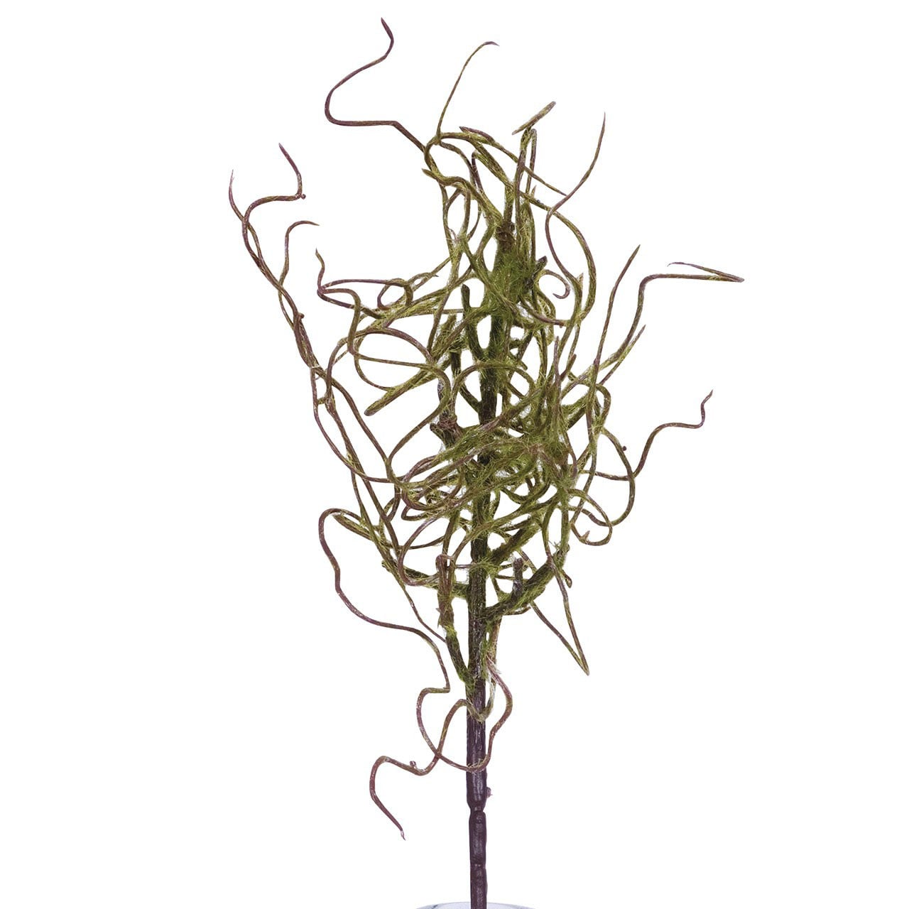 Set of 5 Withered Moss Stem