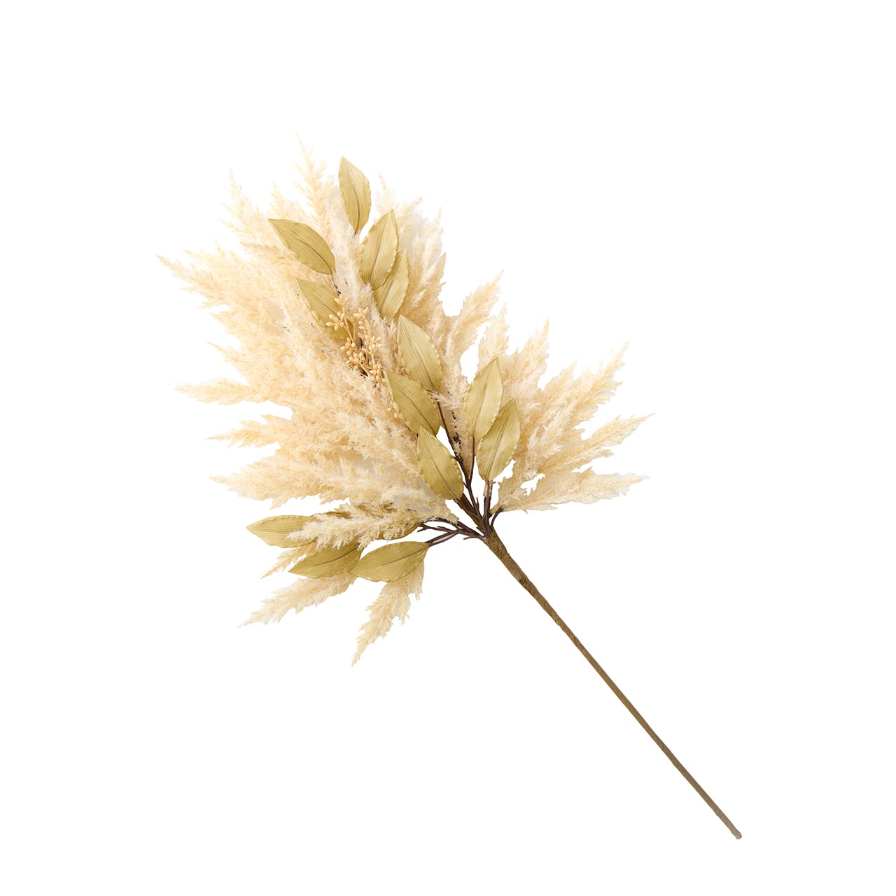 Set of 5 Pampas Grass Bundle