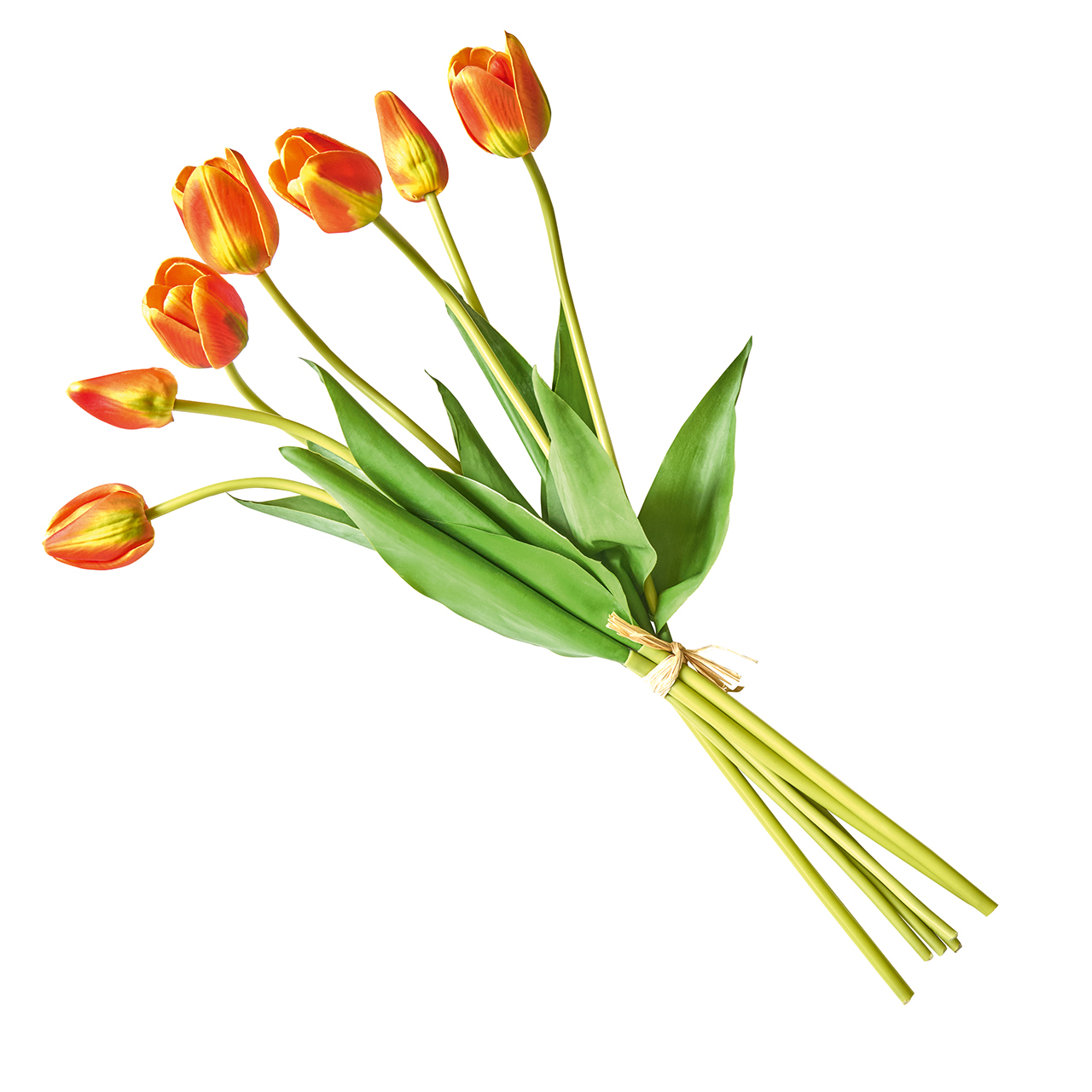 Orange Tulip Bundle