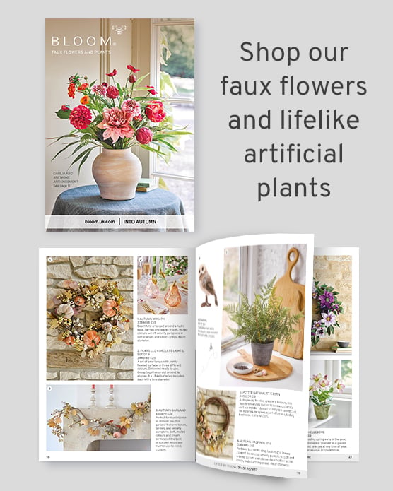 Request Catalogue