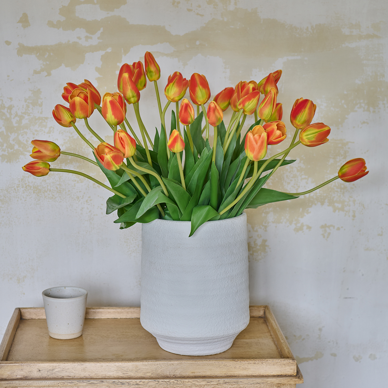 Triumphant Tulips Collection