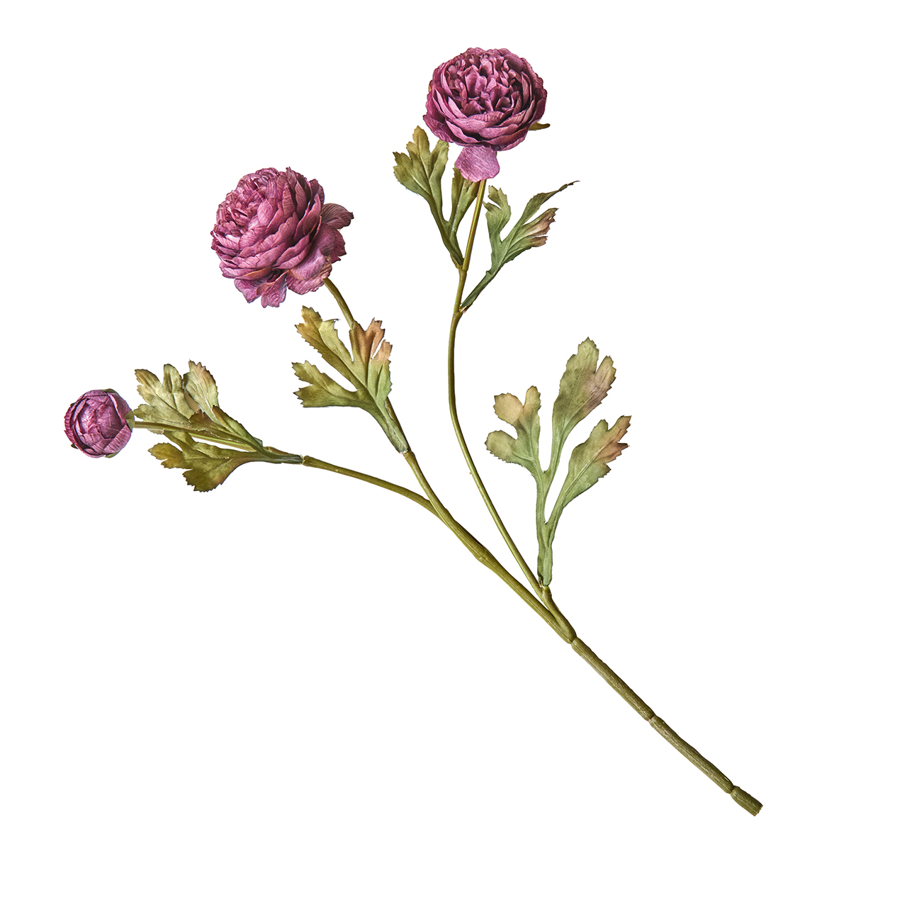 Purple Ranunculus Spray